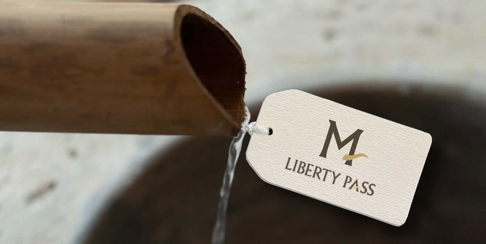 Liberty Pass, Mathis Collection.