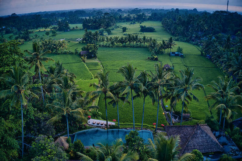 Mathis Retreat, Ubud, Bali.