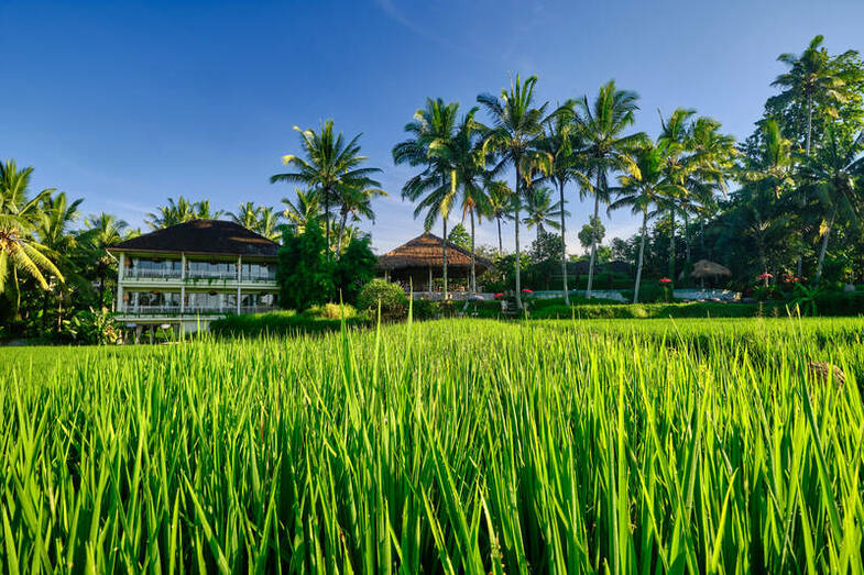 Mathis Retreat, Ubud, Bali.